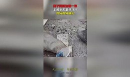水泥厂爆料视频,揭秘生产过程与环保问题
